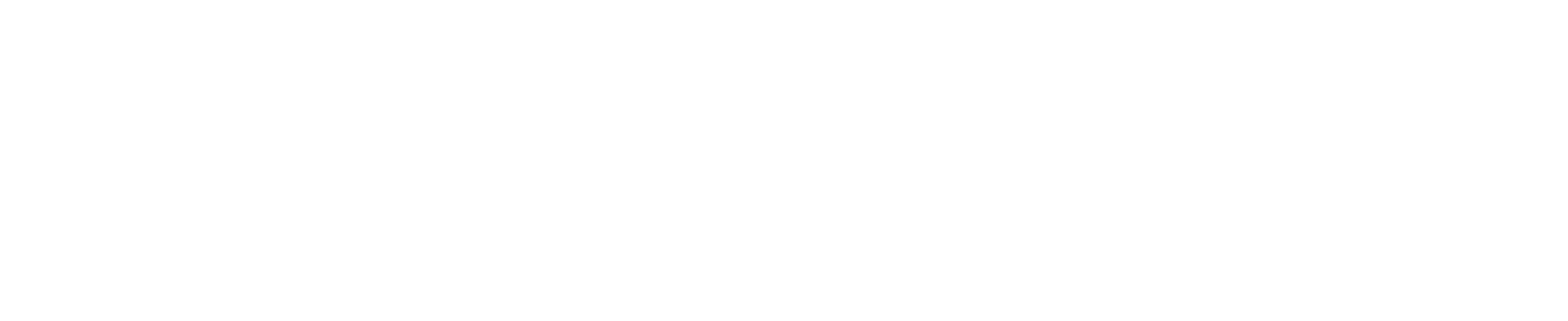 Forza Delivery